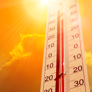 Imagem do Artigo sobre Onda de Calor Avança pelo Cone-Sul Previsão Indica Dias Extremos no Brasil, Argentina e Paraguai