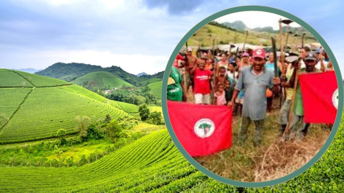 Governo Lula: Possível Escolta Policial a Invasores de Terra e ajuda a Cuba