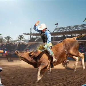 Essa imagem é do artigo: 11ª Festa do Peão Boiadeiro de Cruzmaltina: o gigante voltou!