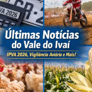 Imagem do artigo Últimas notícias do Vale do Ivaí IPVA 2026 no Paraná, Motocross em Cruzmaltina, vigilância ativa da Influenza Aviária e mais