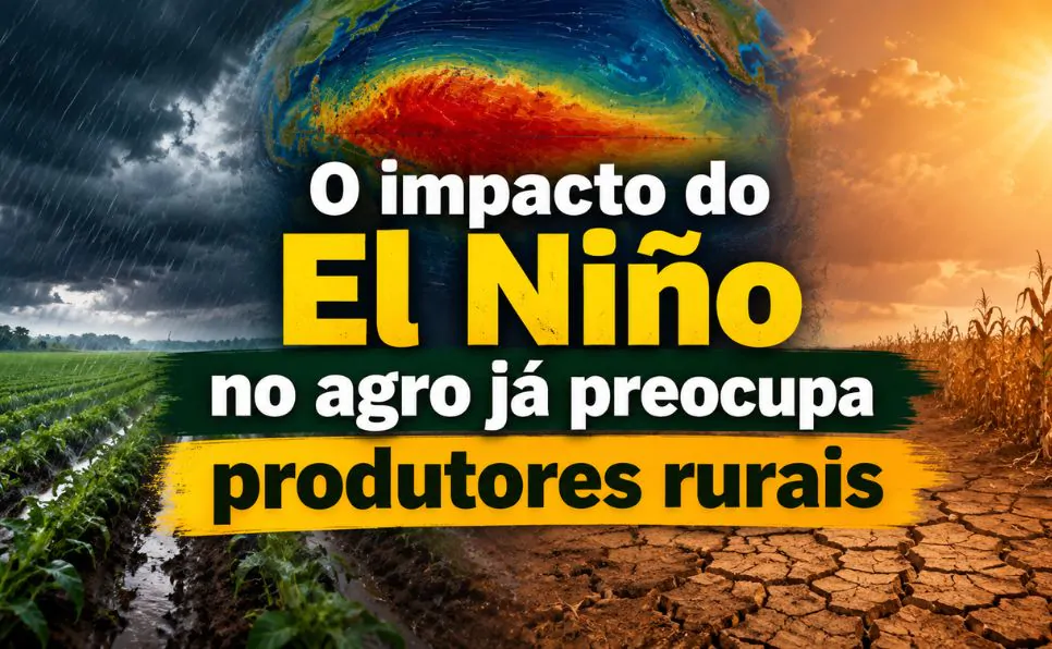 Imagem do artigo El Niño 2026: veja como o fenômeno pode impactar o clima e o agronegócio no Brasil